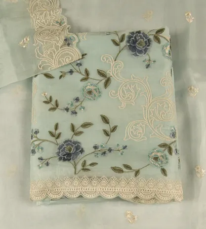 light-blue-organza-salwar-d05103519-a