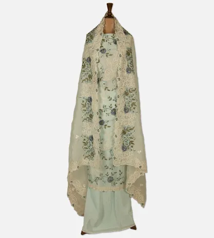 light-blue-organza-salwar-d05103519-b