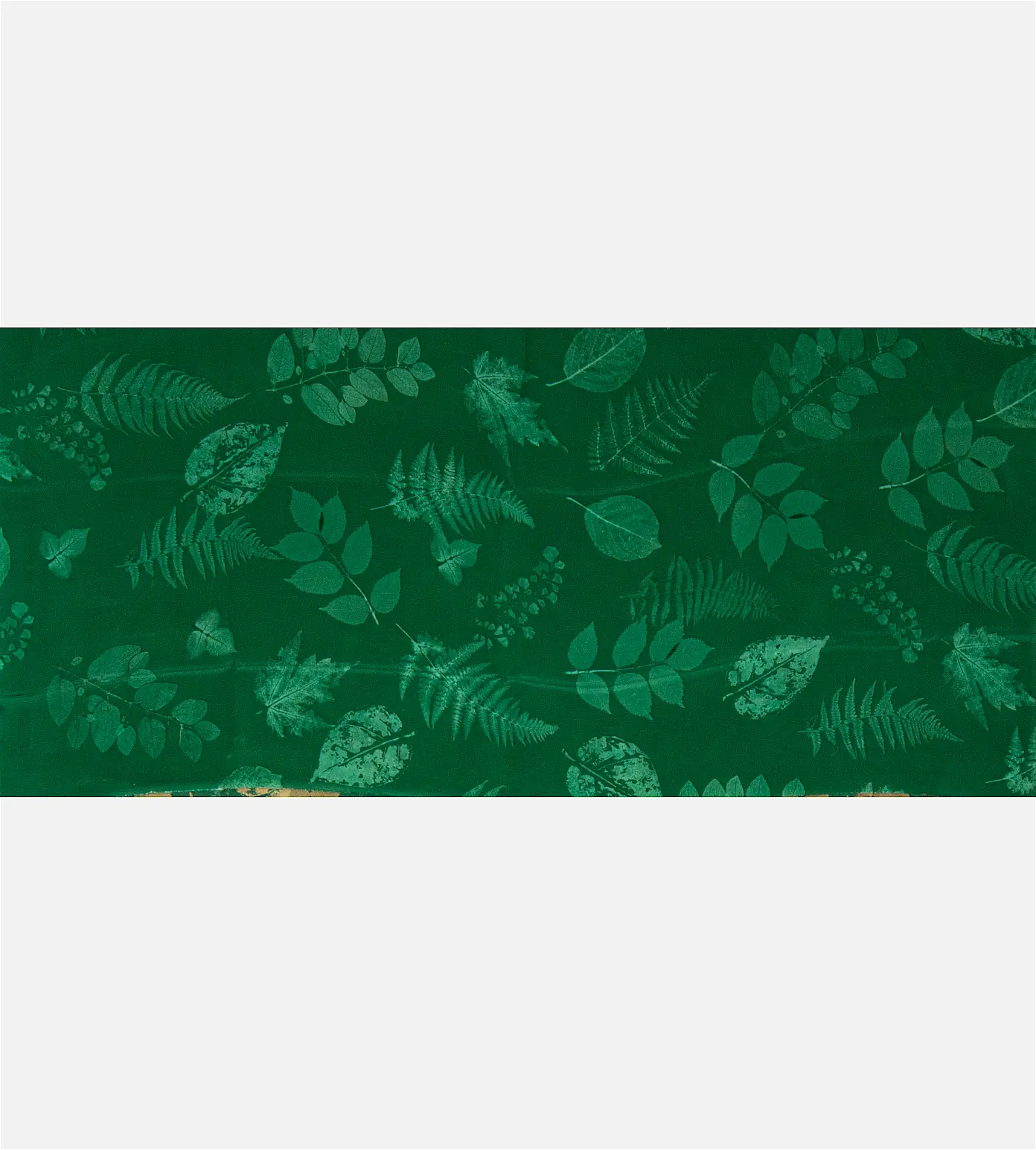 green-crepe-saree-d11139537-d