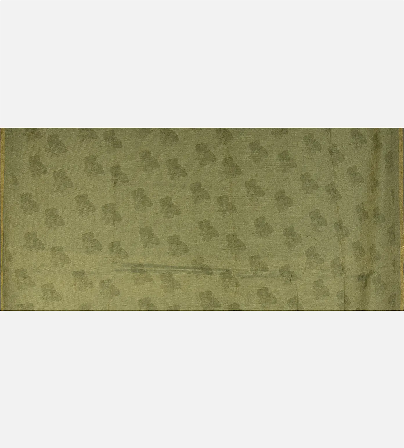 light-green-tissue-semi-tussar-saree-d12141925-d