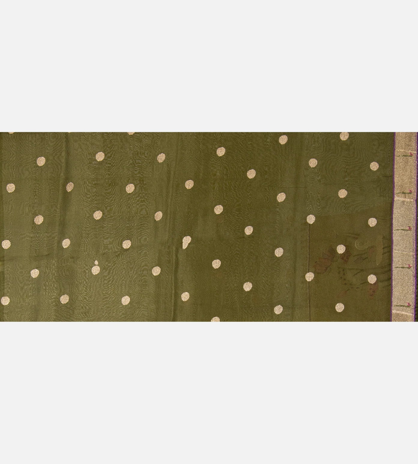 olive-green-organza-embroidery-saree-e01144863-d