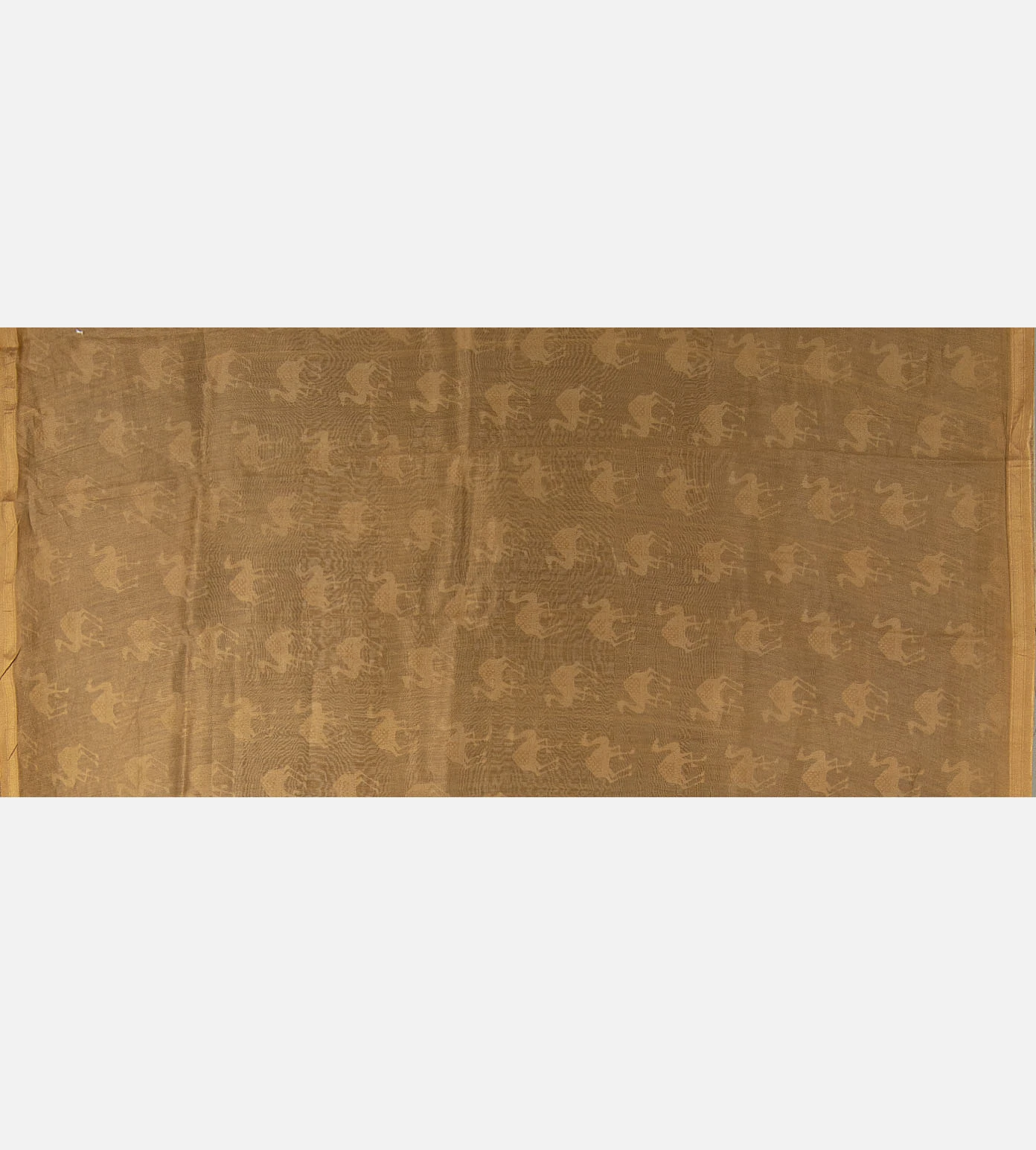 black-chanderi-cotton-saree-e02150182-d