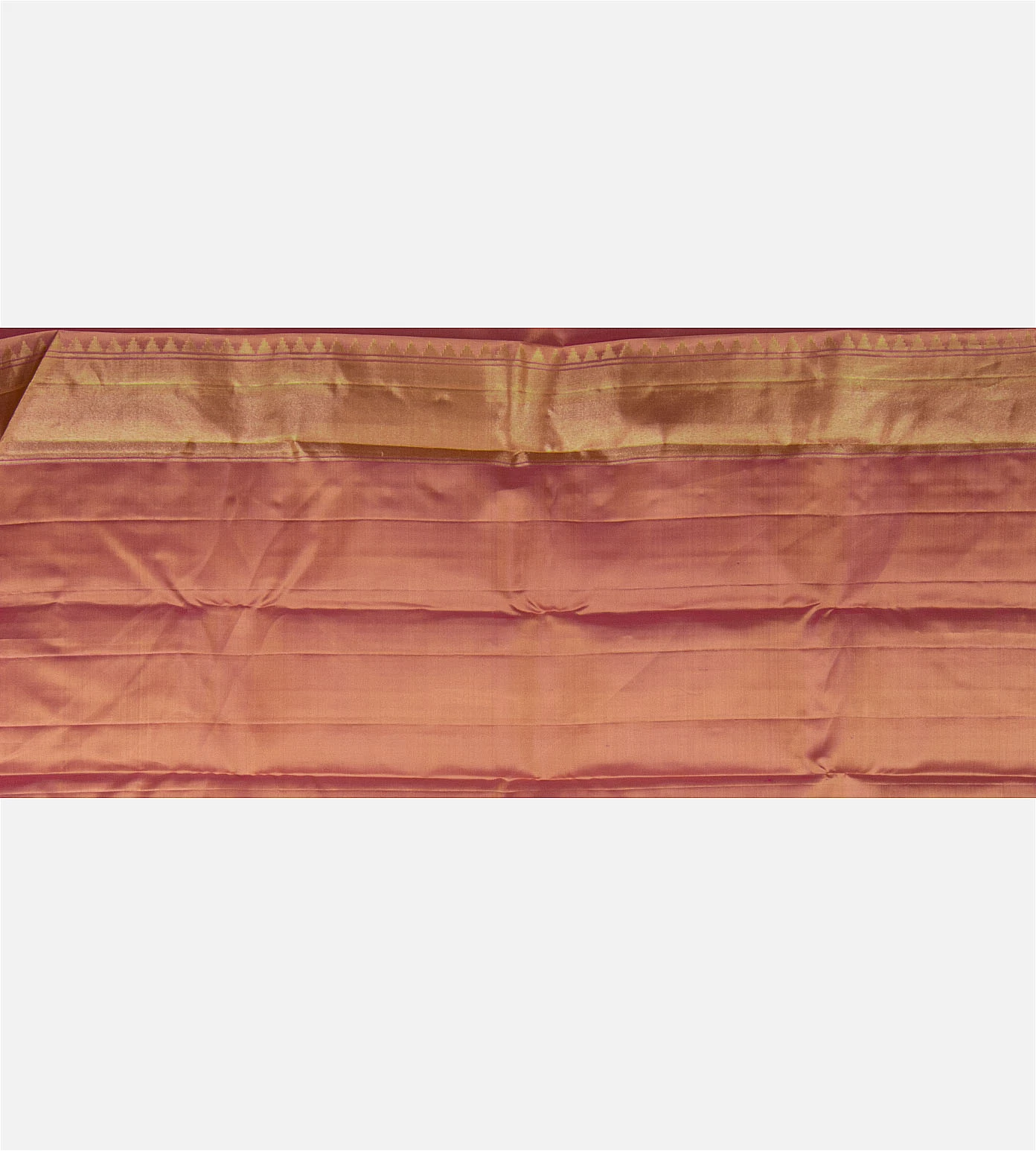 beige-kanchipuram-silk-saree-e02152299-d