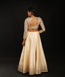 gold-pure-raw-silk-lehenga-41255-d