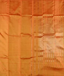Borderless Orange Kanchivaram Pure Silk Saree2