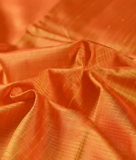 Borderless Orange Kanchivaram Pure Silk Saree3