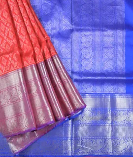 Chilli Red With Royal Blue Traditional Border Pure Kanjivaram Silk Saree1