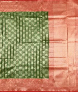 Green With  Rust  Pure Organza Woven Saree2