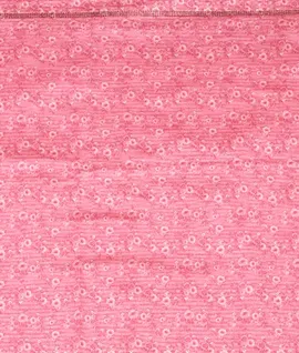 Pink Printed With Stone Work And Patchwork Border Saree4