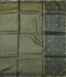 Desi Tussar Saree With Mirror Embroidery Green2