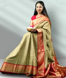 Kanjivaram Chikankari Embroidery Saree Green With Red1