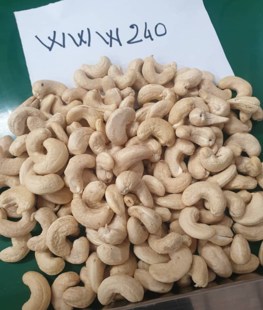 Raw Cashew Nut