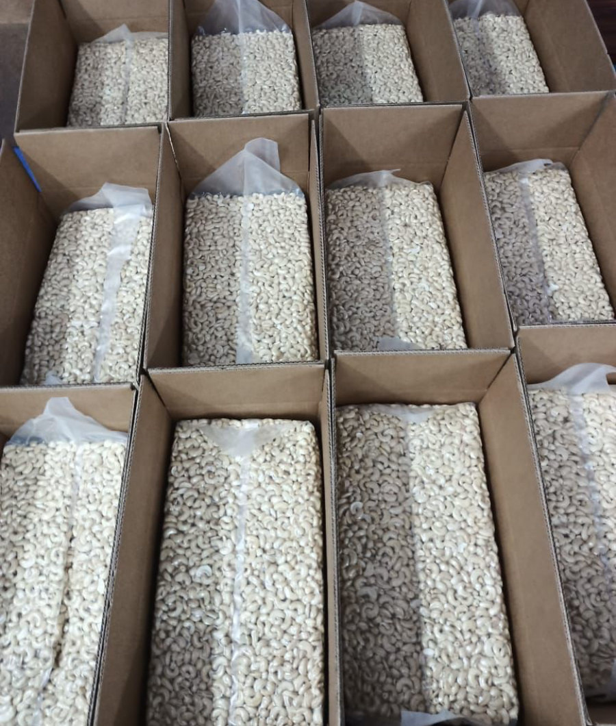 Cashew Nuts from Ghana2