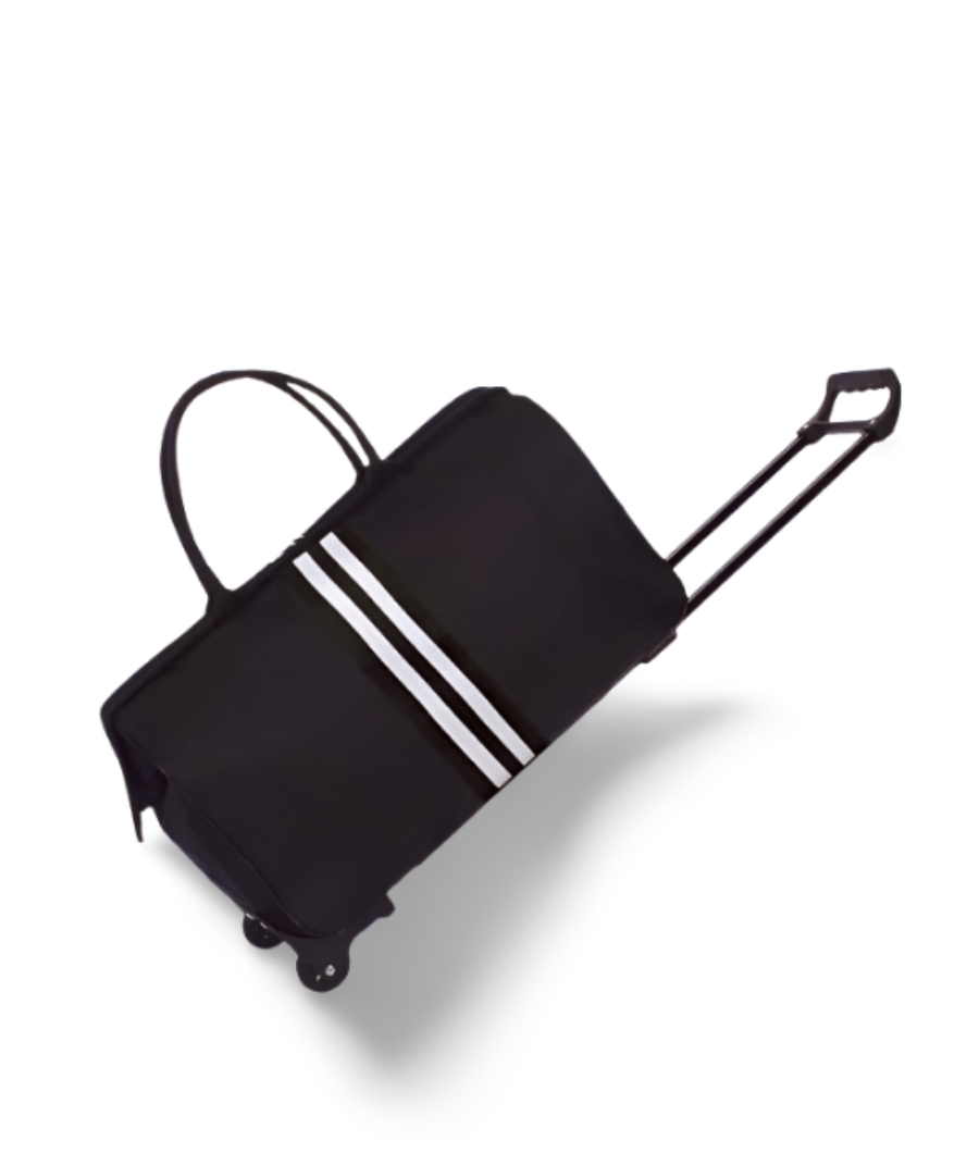 Cute Luggage with trolley1