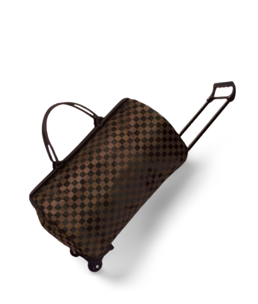 Cute Luggage with trolley2