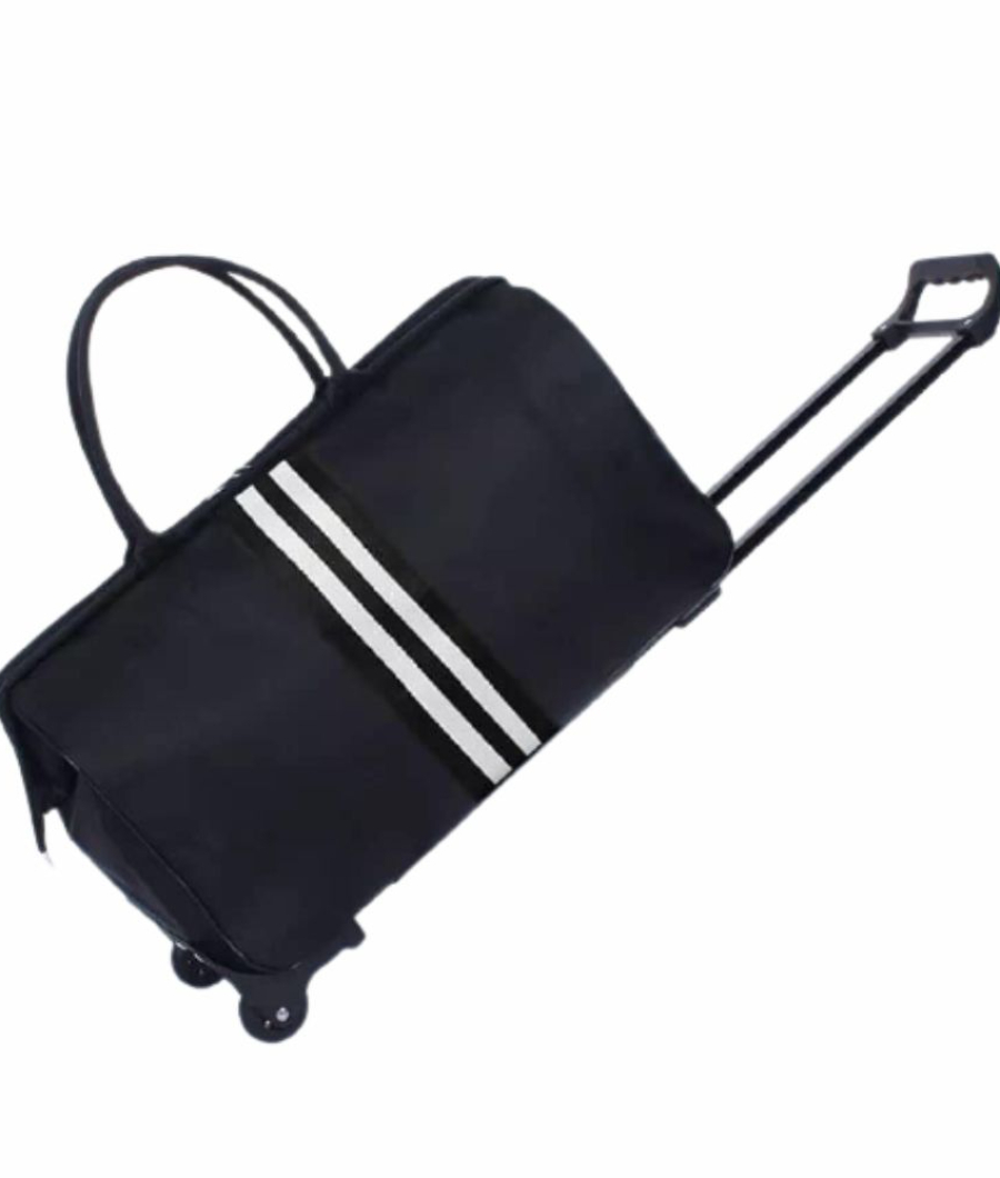 Cute Luggage with trolley2