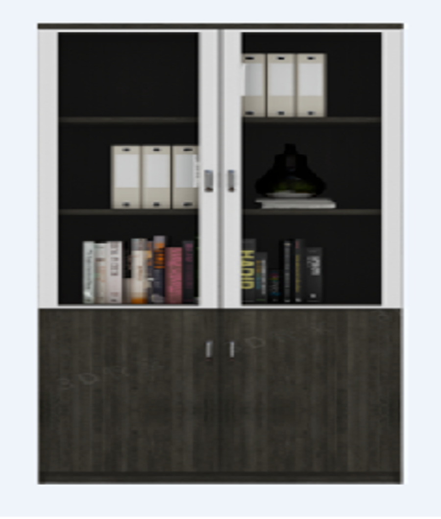BISMA 2-DOOR BOOKCASE1
