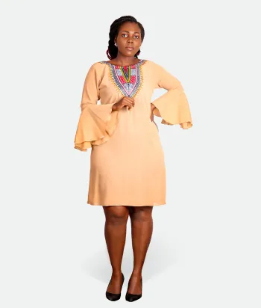 Bell Sleeve Knee-Length Dress1