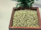 san green arabica coffee 1