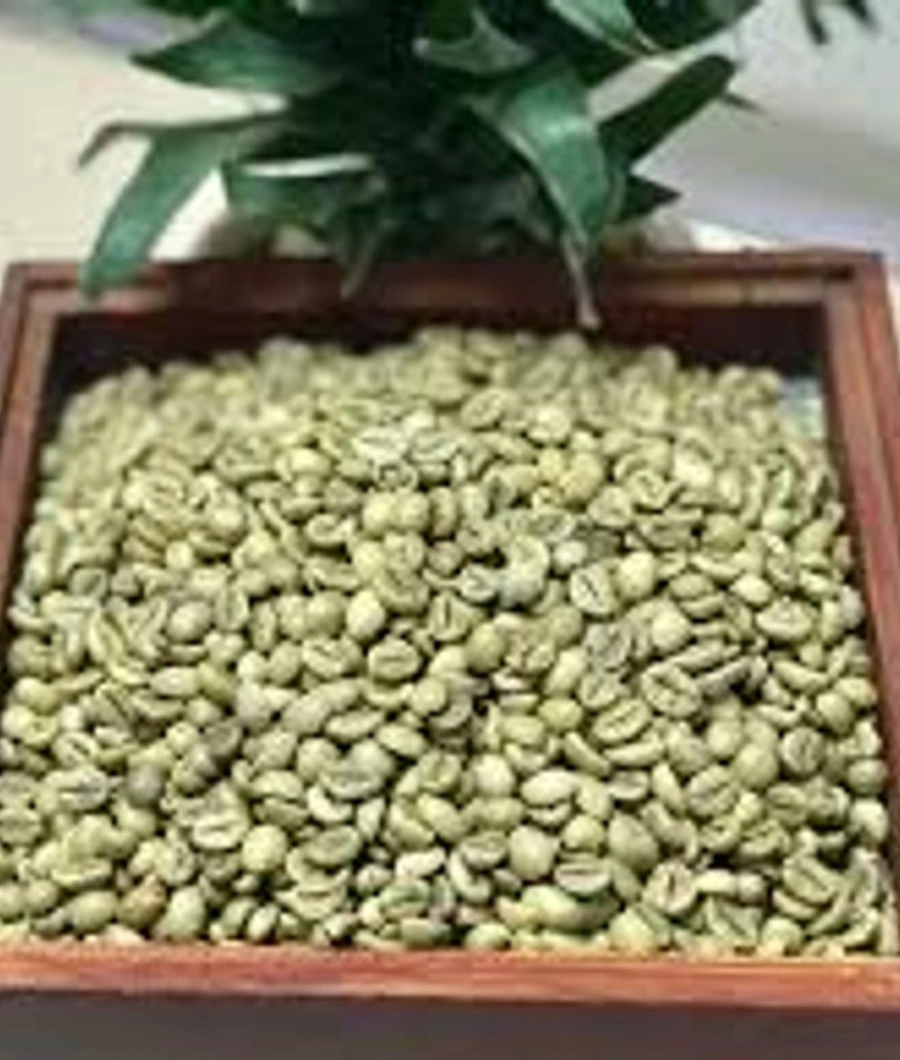 full-washed-arabica-green-coffee-beans-sanc00123-a
