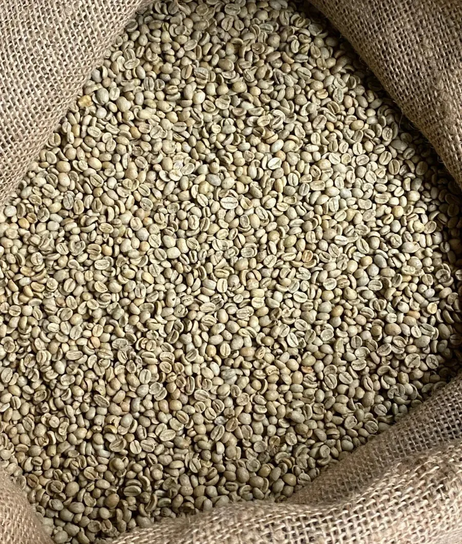 full-washed-arabica-green-coffee-beans-sanc00123-b