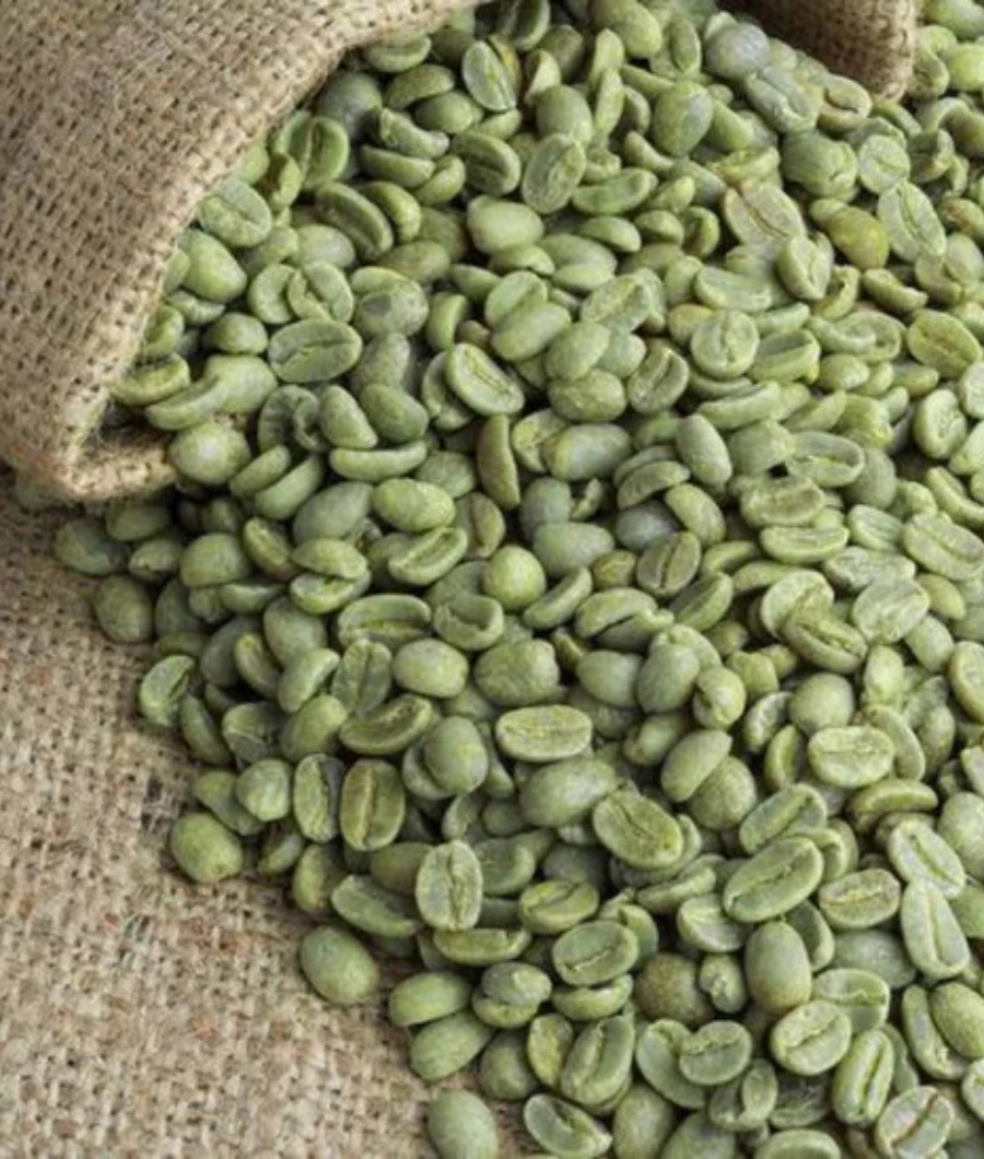 full-washed-arabica-green-coffee-beans-sanc00123-c