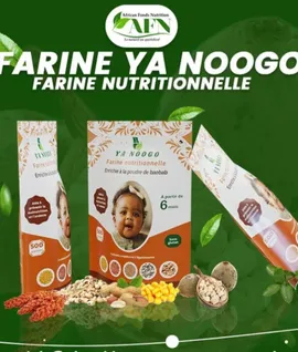 Nutritional Flour "YA NOOGO"2