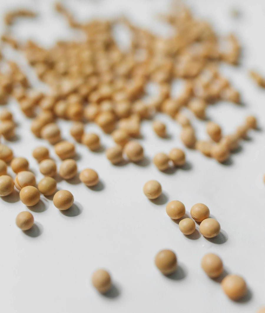 soybeans-oa001735-a