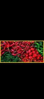 pepper-oa001905-a