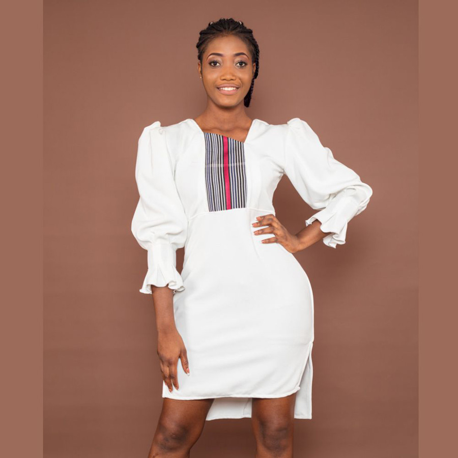 Knee-Length Butterfly Dress1