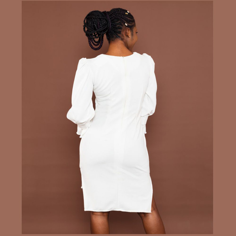 Knee-Length Butterfly Dress2