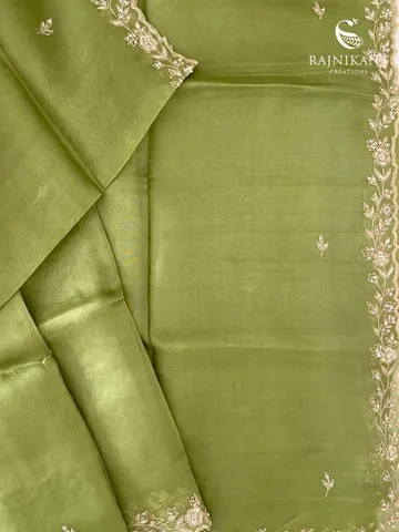 serene-green-organza-rka9821-b