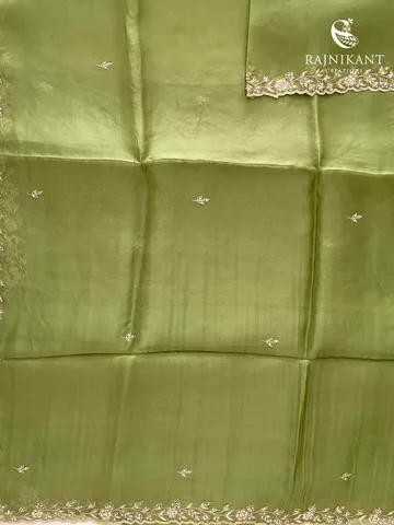 serene-green-organza-rka9821-c