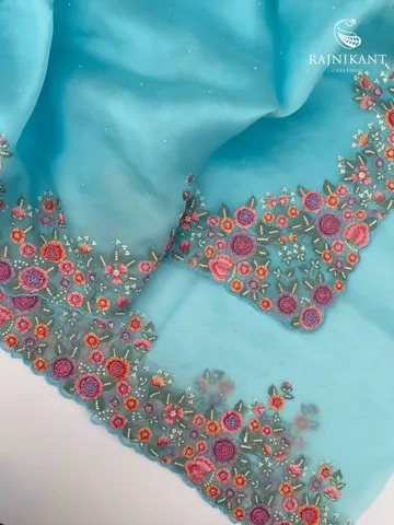 Sky Blue Organza Silk Saree elevated with Hand Embroidery4