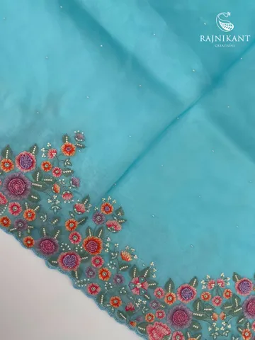 Sky Blue Organza Silk Saree elevated with Hand Embroidery1