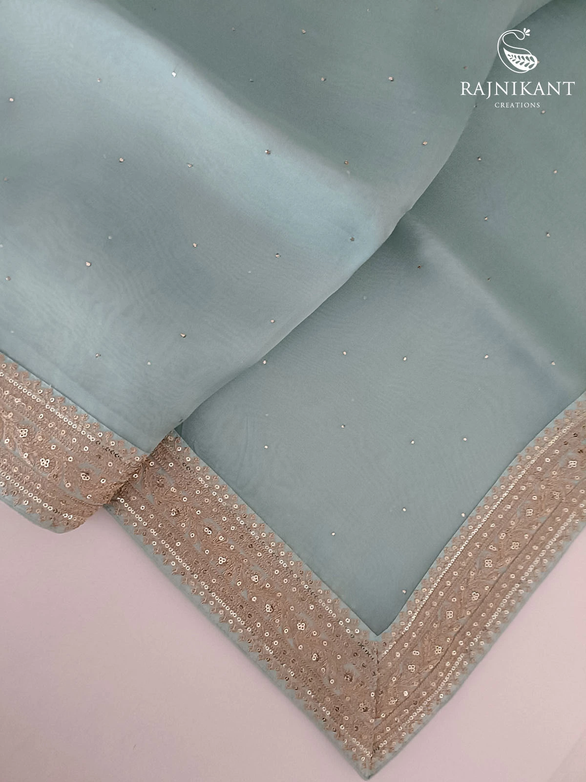 powder-blue-organza-silk-saree-with-mukiash-work-rka6366-a