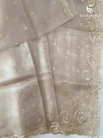 elegant-tissue-orgnaza-saree-with-pita-work-rka3766-2-b