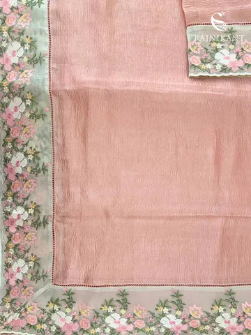 pastel-hued-organza-tissue-silk-saree-rka7148-1-c