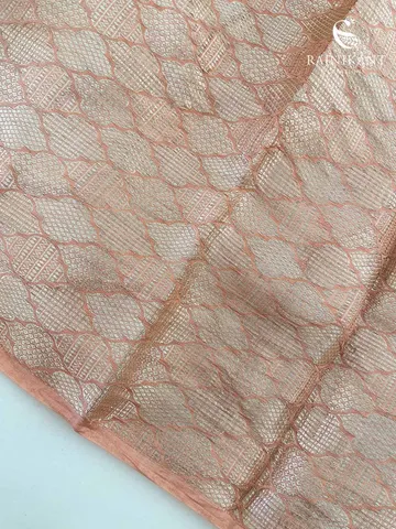 pastel-hued-organza-tissue-silk-saree-rka7148-1-e
