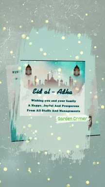 blog-image
