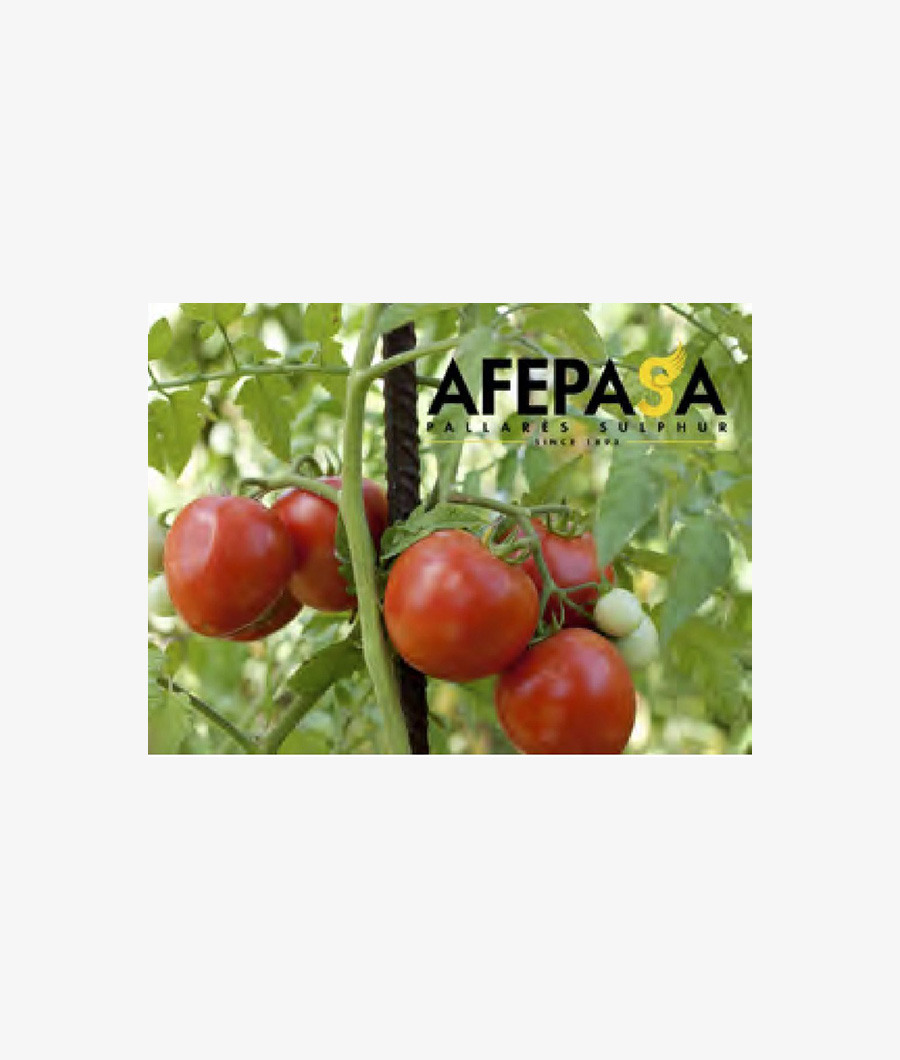 Sulfur Sulphate 25Kg3