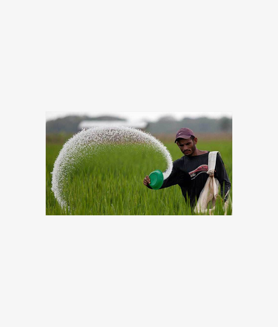 Urea Fertilizers Nitrogen 50Kg2