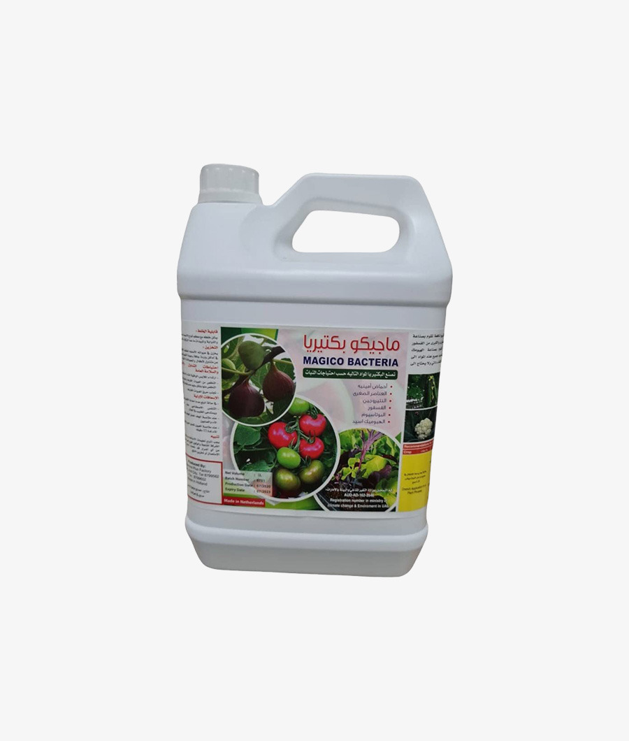 Magico Bacteria 5l1
