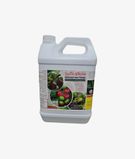 Magico Bacteria 5l2
