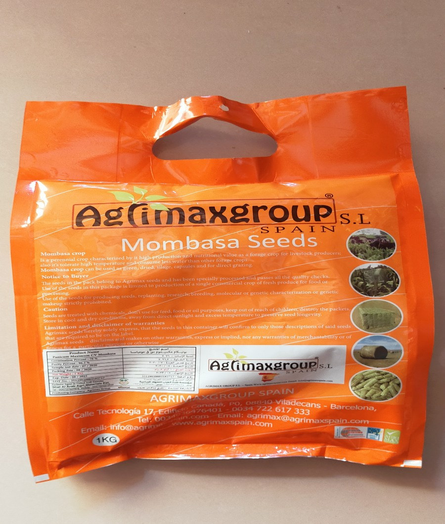 Mombasa Seeds2