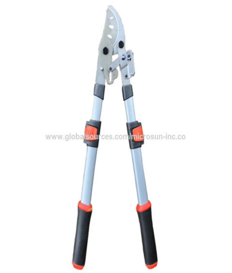 Long Tree Pruner1