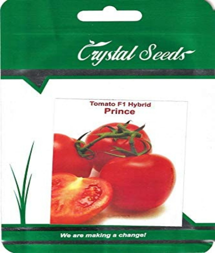 Tomato F1 Hybrid Prince1