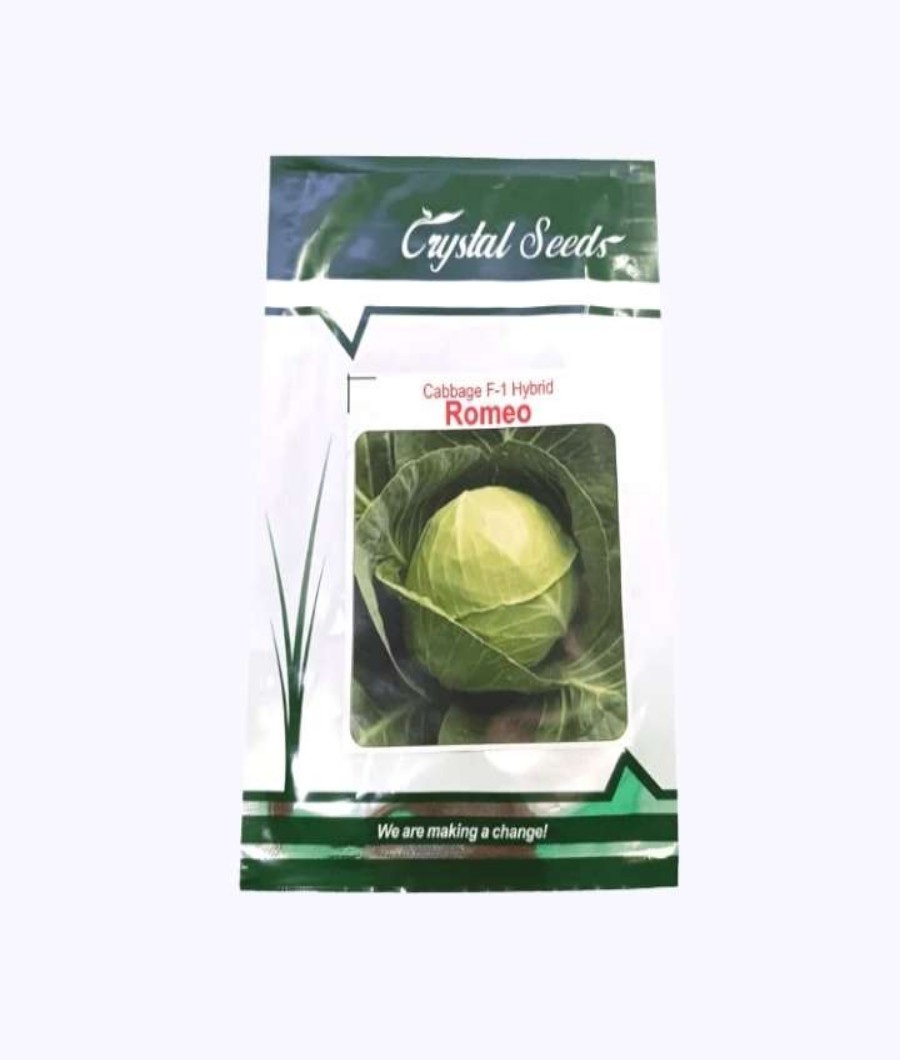 Cabbage F1 Hybrid Romeo1
