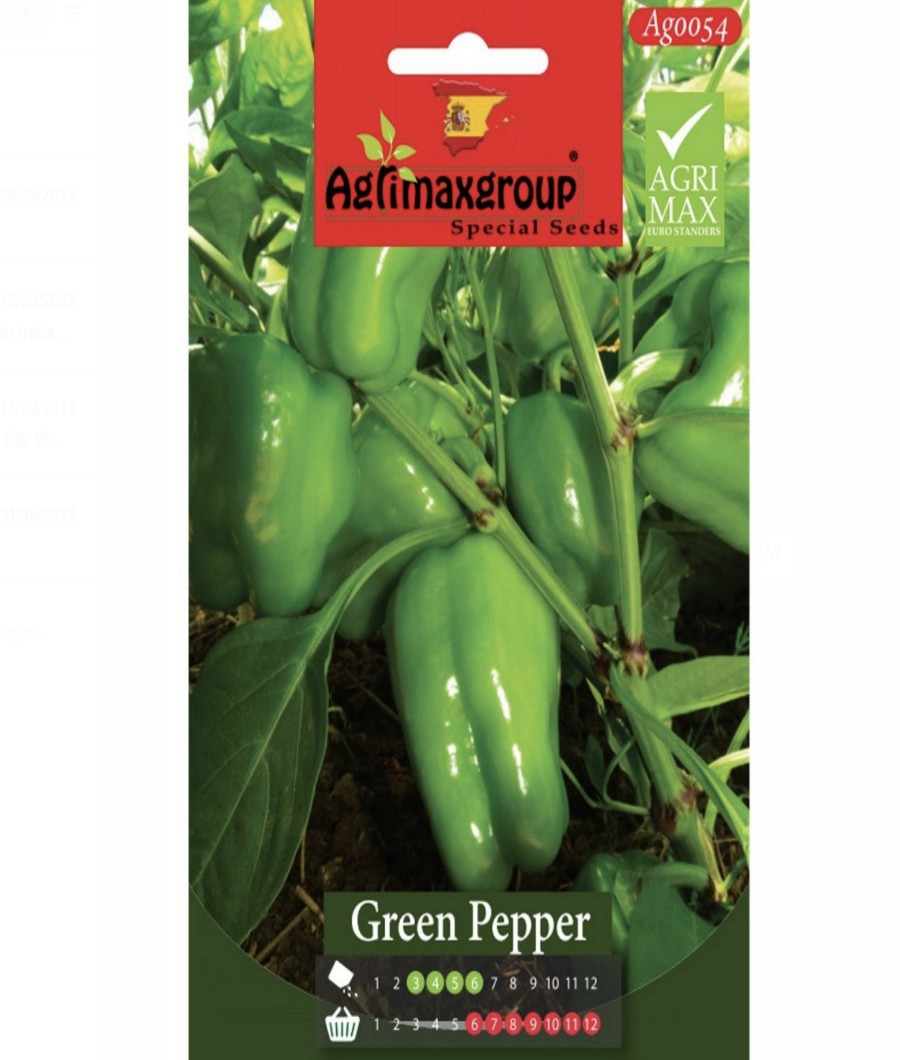 Green Pepper1