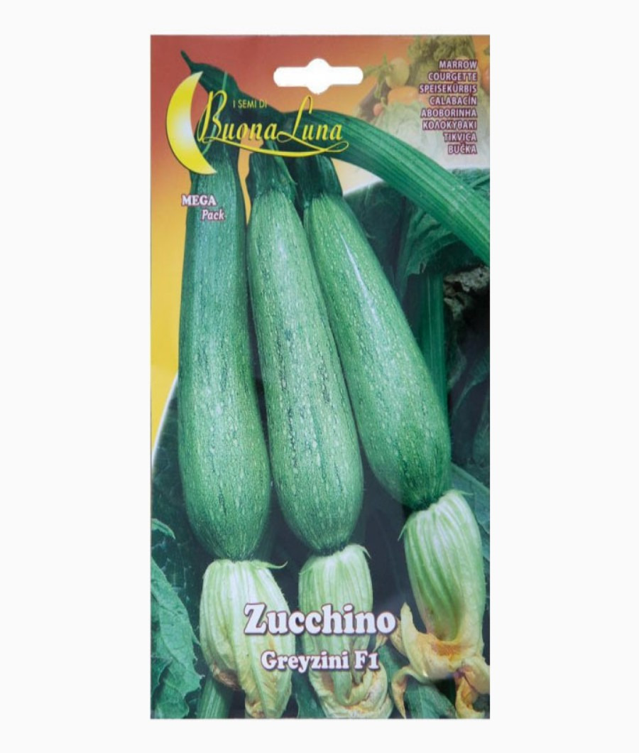 Zucchino Greyzini F11